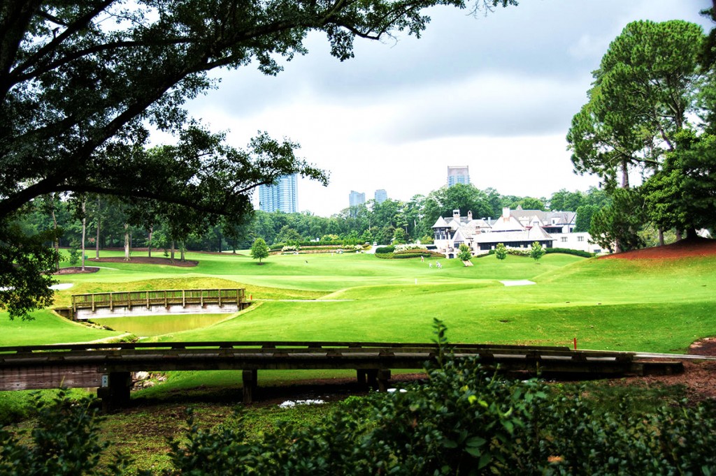 Brookhaven Atlanta Park and City View